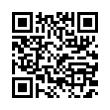 QR Code (код быстрого отклика)
