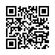 QR Code (код быстрого отклика)