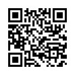 QR Code (код быстрого отклика)