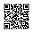 QR Code (код быстрого отклика)