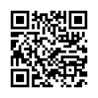 QR Code (код быстрого отклика)