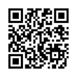 QR Code (код быстрого отклика)